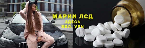 прущий лед Алзамай