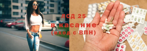 гидра Алексеевка