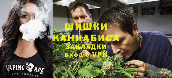 дживик Алексин