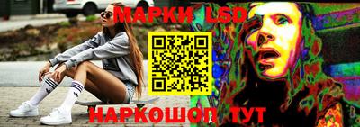 apvp Новозыбков