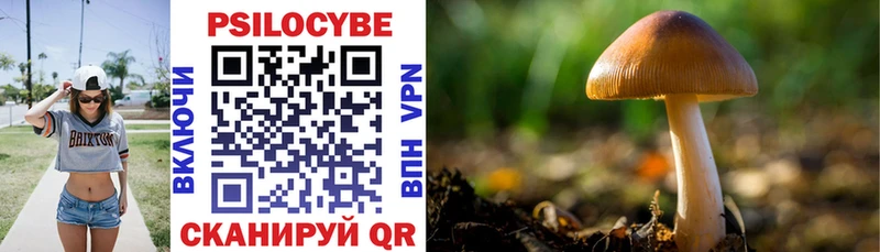 даркнет наркотические препараты Туймазы Псилоцибиновые грибы MAGIC MUSHROOMS