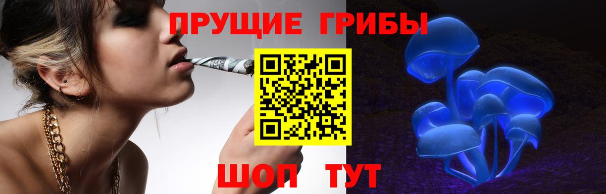 Туймазы  Галлюциногенные грибы прущие грибы  Вход с VPN 